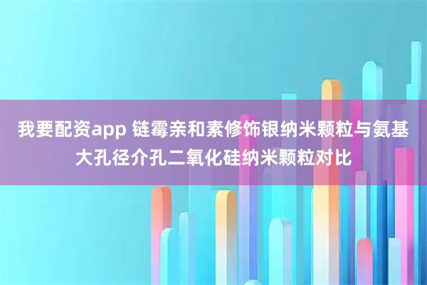 我要配资app 链霉亲和素修饰银纳米颗粒与氨基大孔径介孔二氧化硅纳米颗粒对比